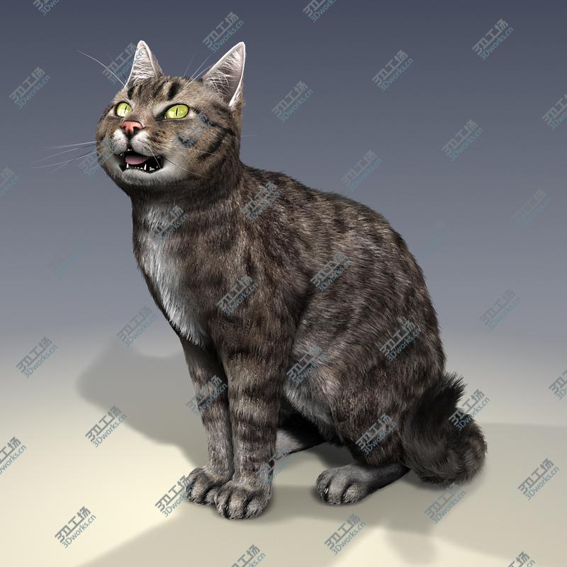 images/goods_img/2021040161/Cat - Rigged, With Fur/5.jpg